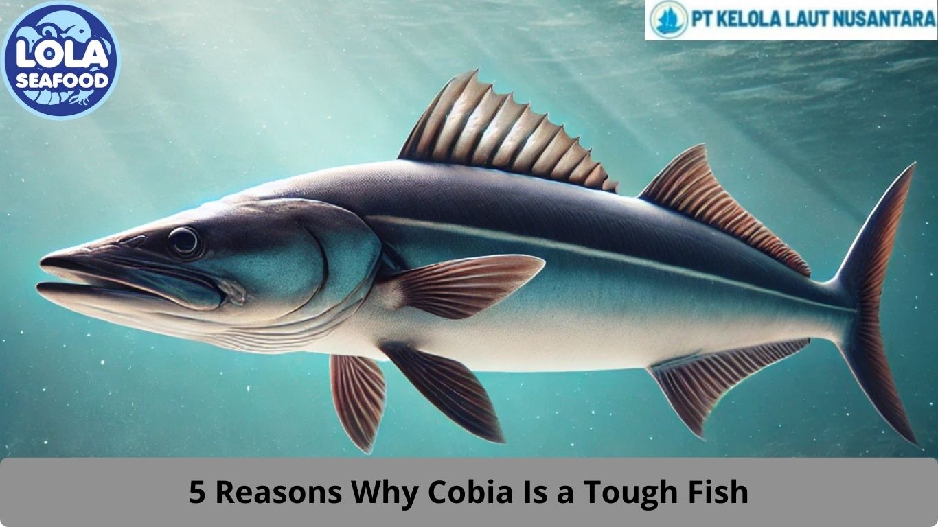 5 Reasons Why Cobia Is a Tough Fish